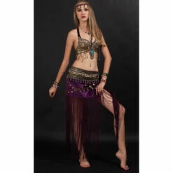 Belly Dancer Top And Skirt