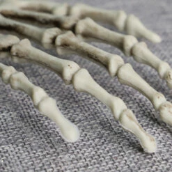 Skeleton Hands Claws Cosplay Costume Prop -Cosplay Cove Shop hlw prop skullclaws2